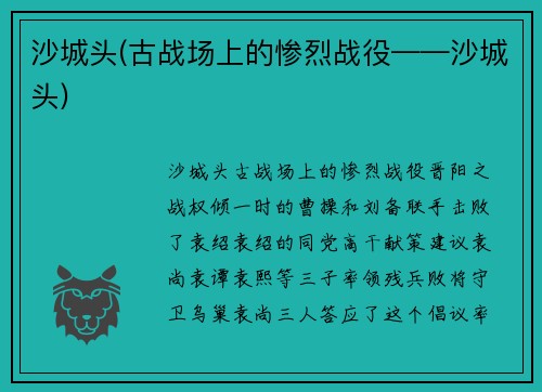 沙城头(古战场上的惨烈战役——沙城头)