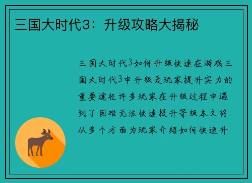 三国大时代3：升级攻略大揭秘